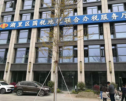 國稅地稅聯(lián)合辦稅服務廳