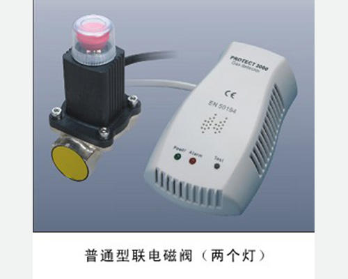 燃?xì)庑孤秷?bào)警器及切斷閥