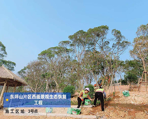 東坪山三號(hào)、四號(hào)景觀